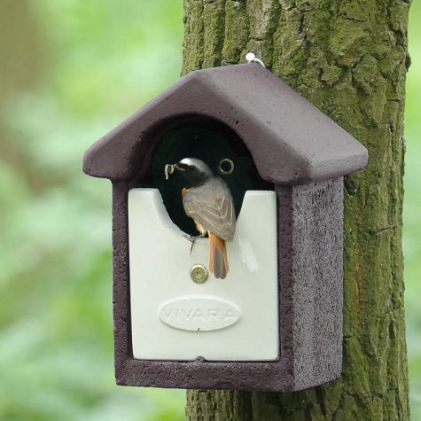 Woodstone® Barcelona Open Nest Box (Brown) – Vivara Pro